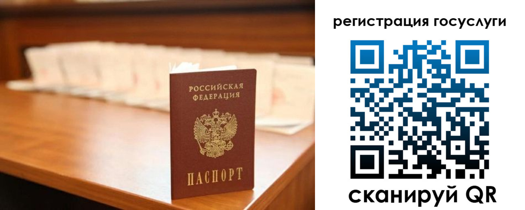 прописка в квартире в Благодарном