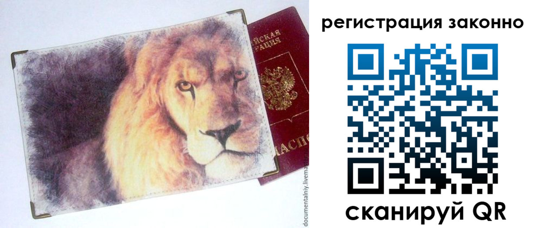 прописка гарантия в Благодарном